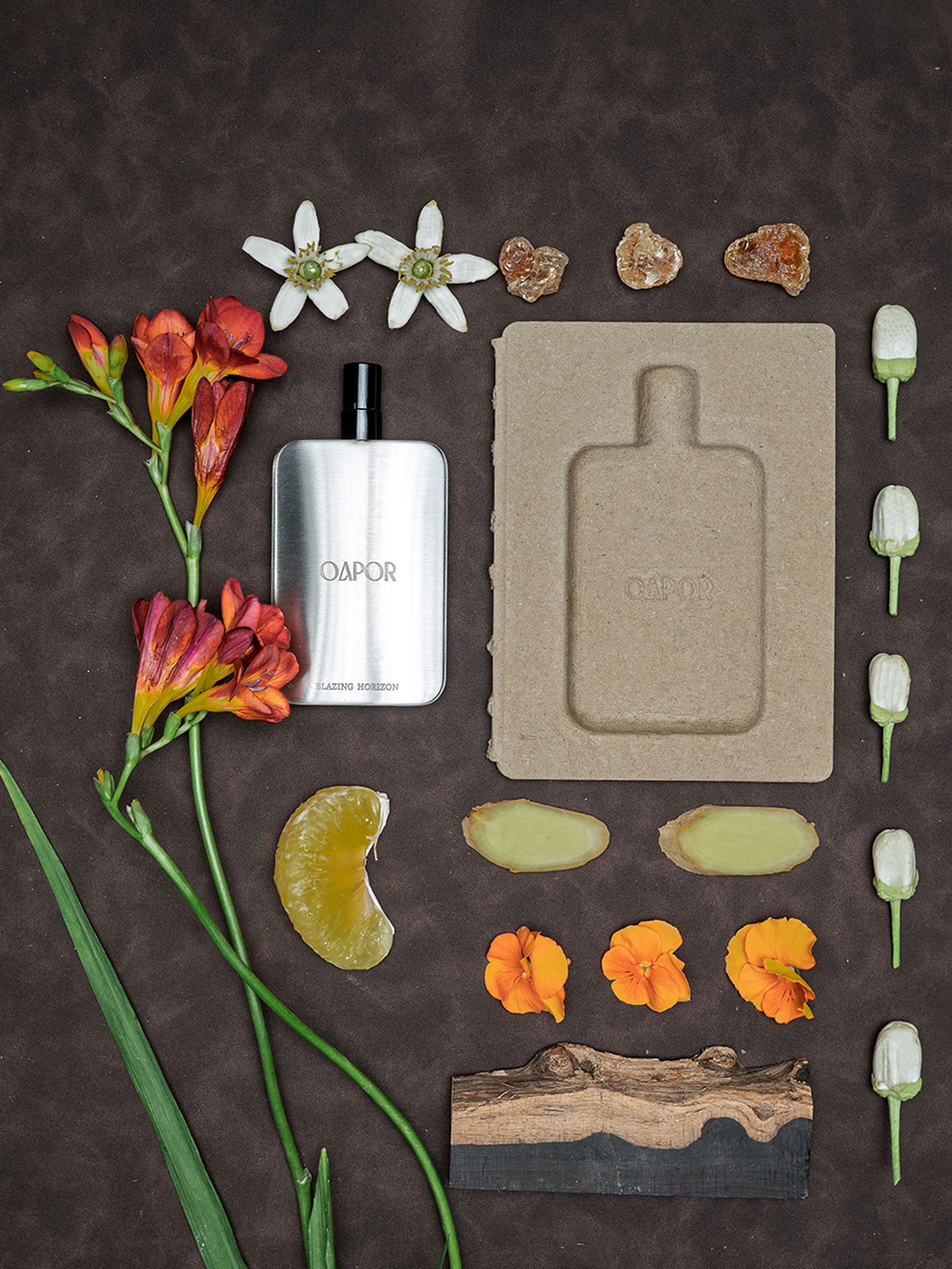 BLAZING HORIZON - Featherlight Edition