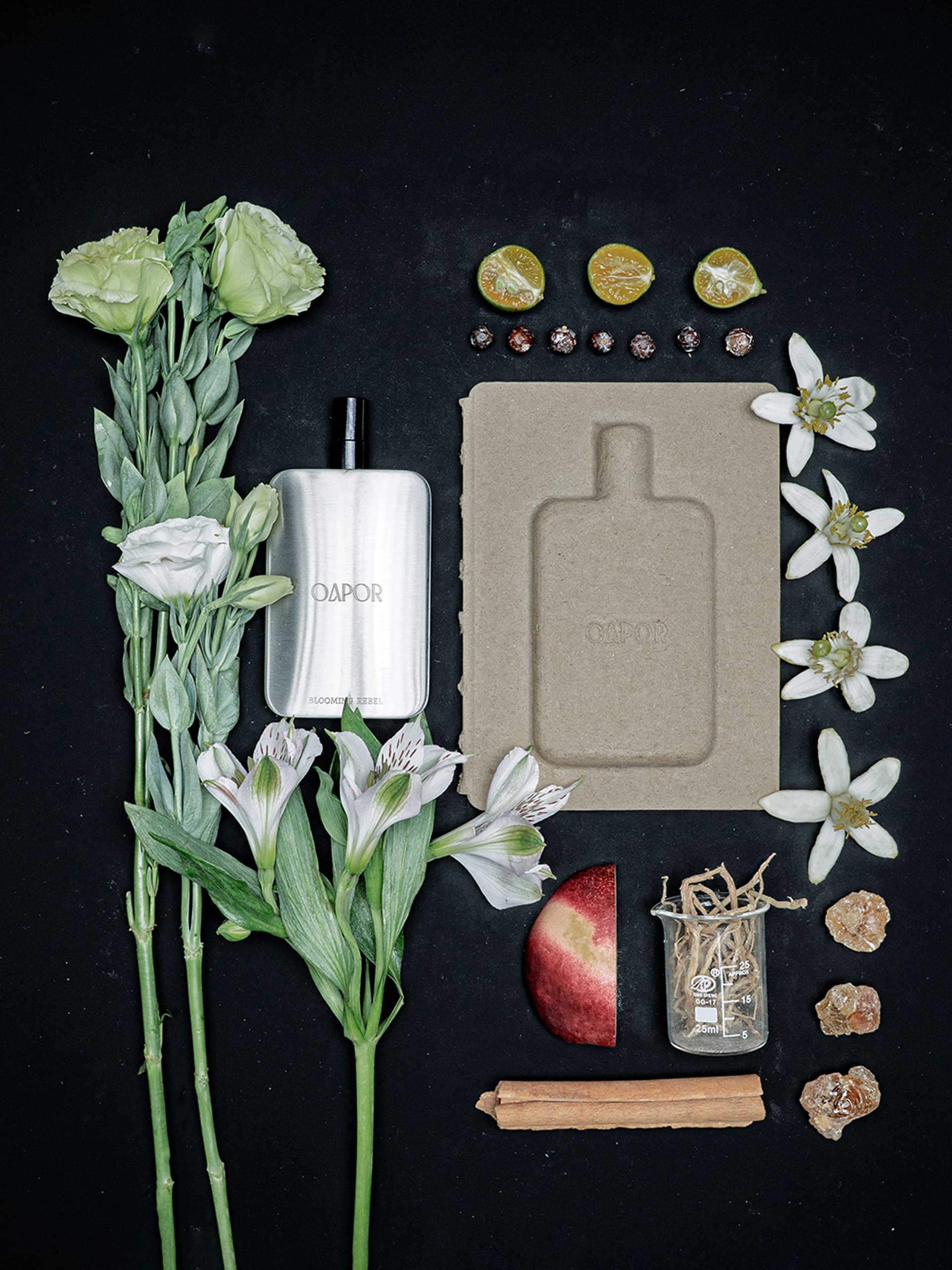 BLOOMING REBEL - Featherlight Edition