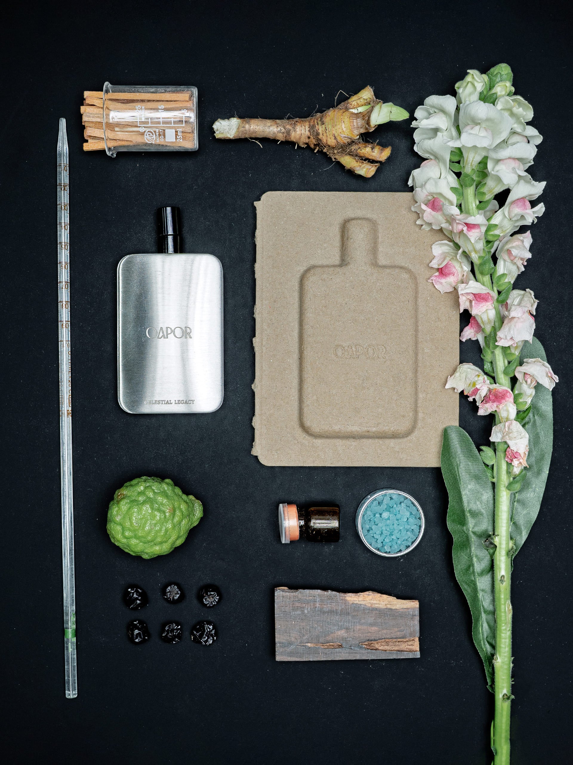 CELESTIAL LEGACY - Featherlight Edition