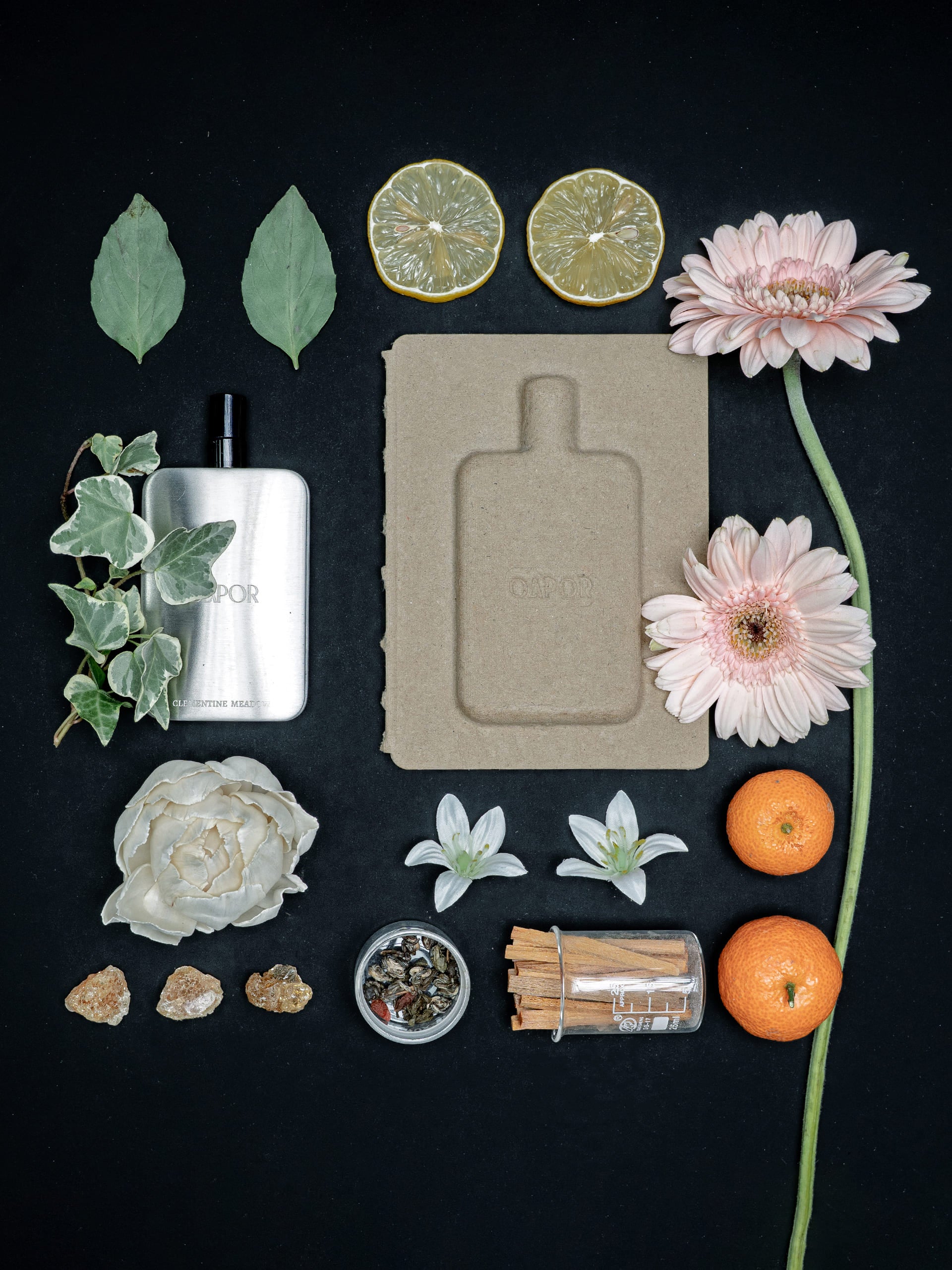 CLEMENTINE MEADOW - Featherlight Edition