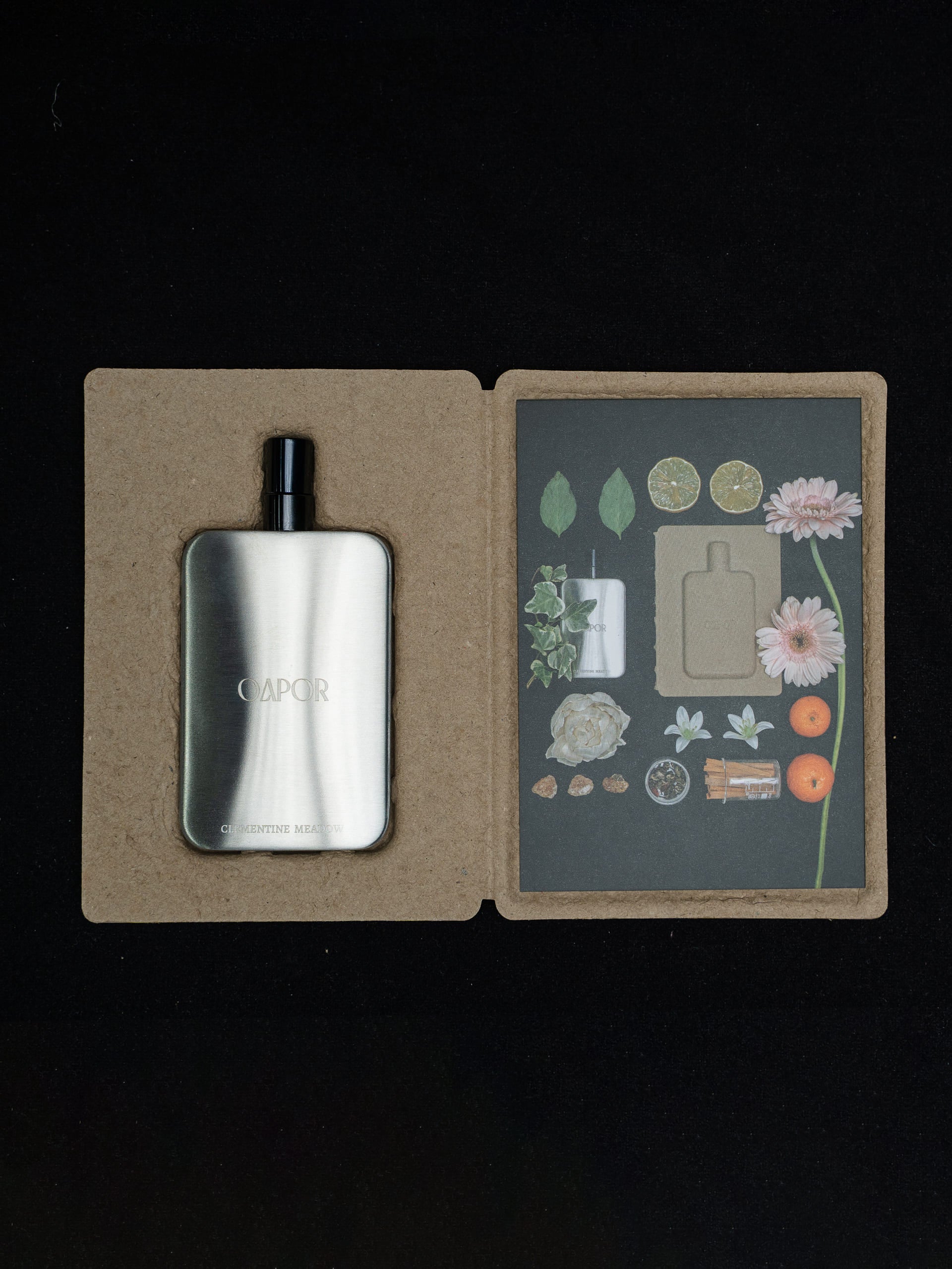 CLEMENTINE MEADOW - Featherlight Edition