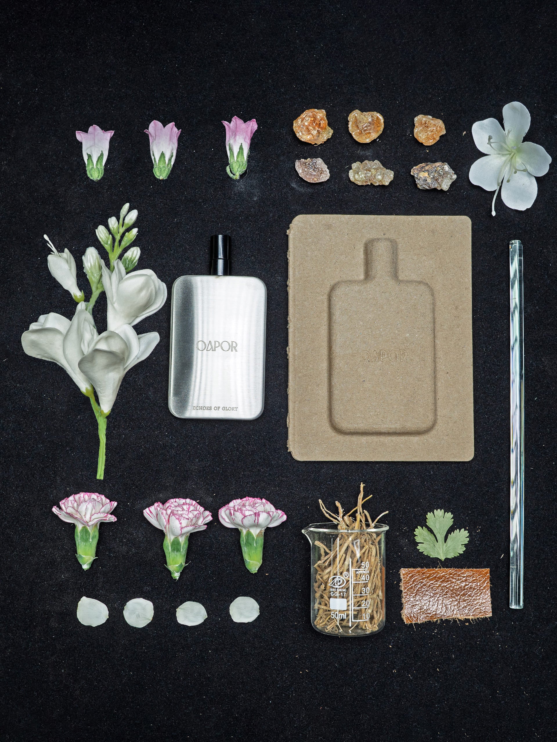 ECHOES OF GLORY - Featherlight Edition