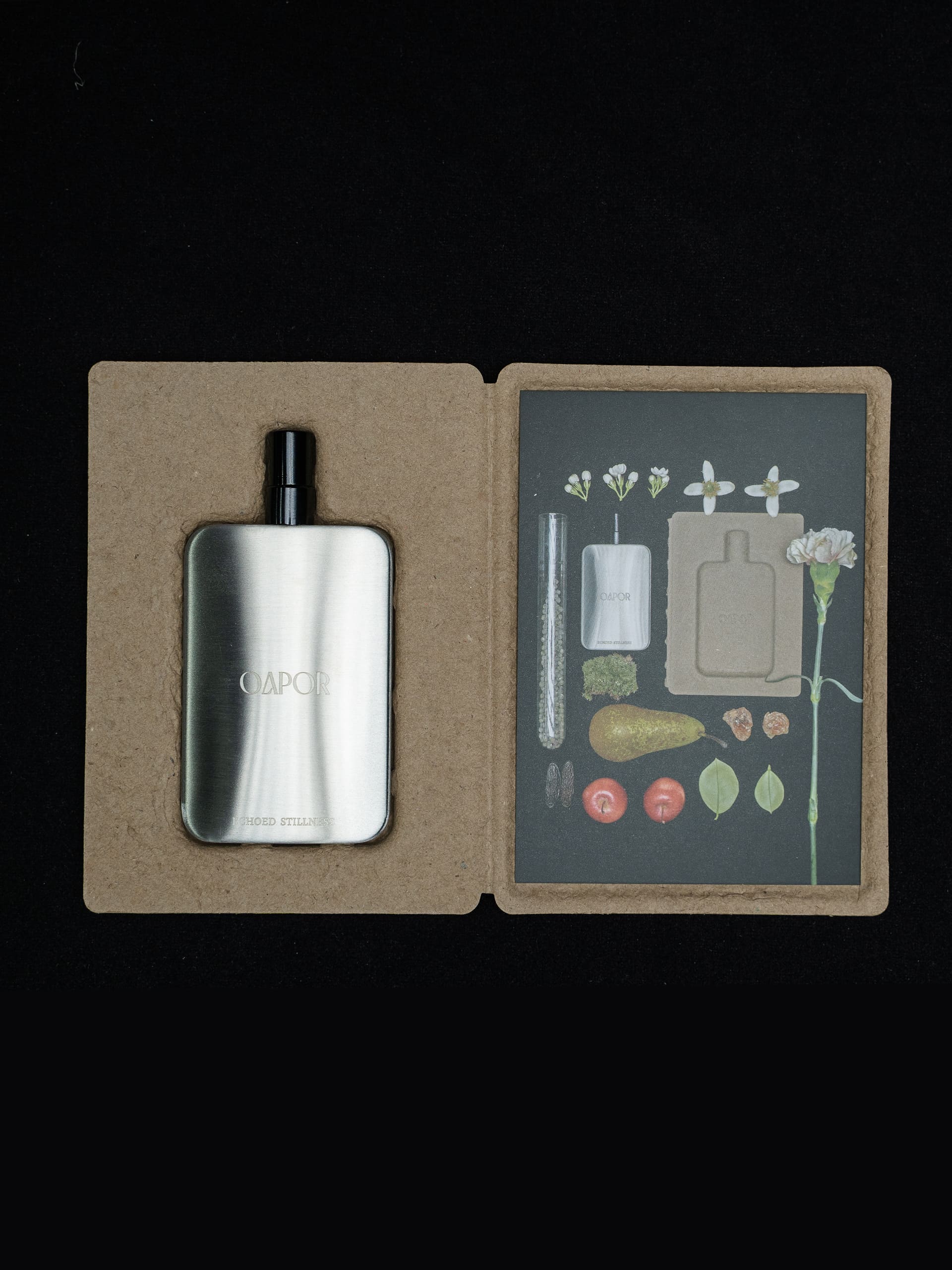 ECHOED STILLNESS - Featherlight Edition