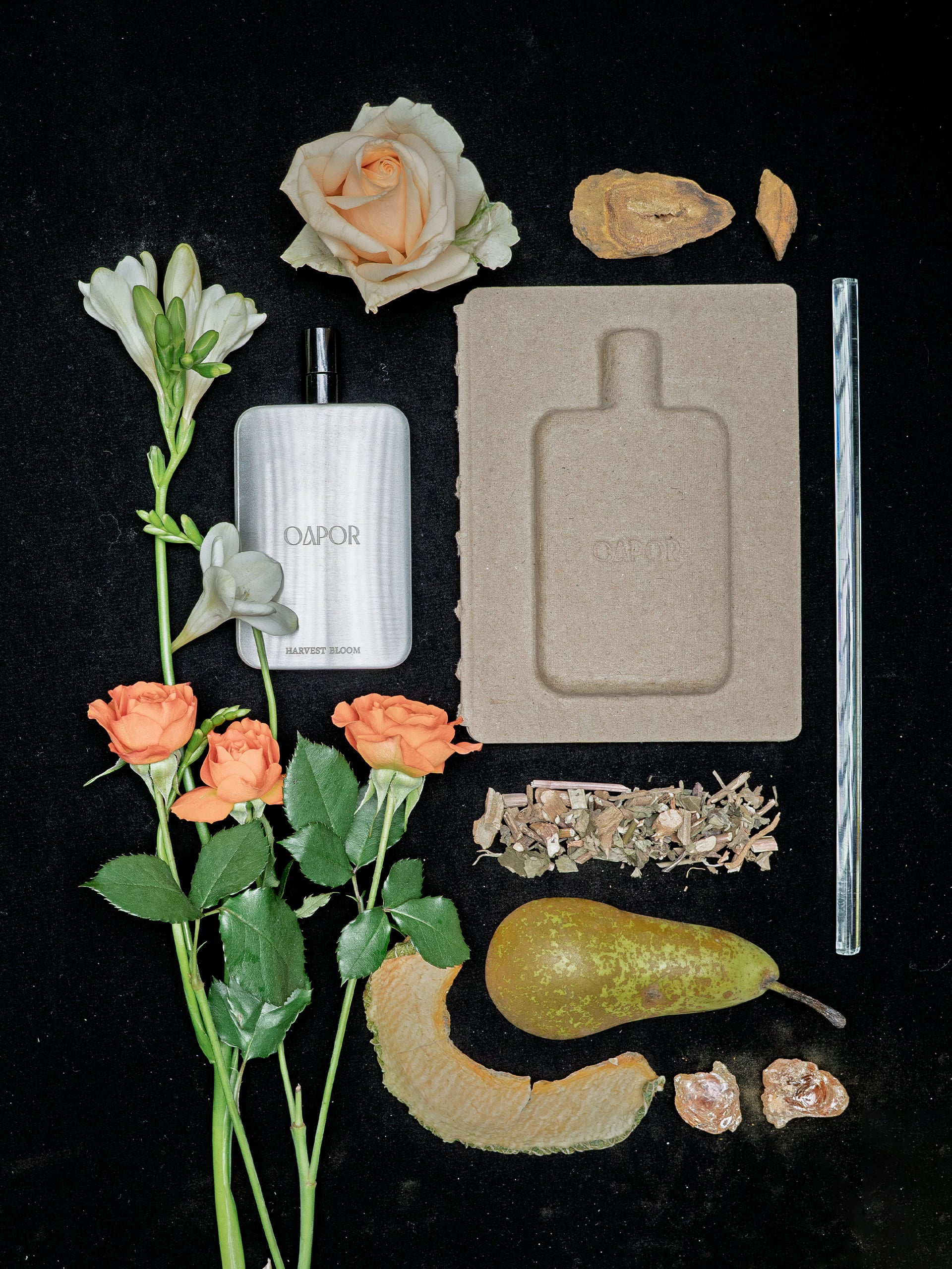 HARVEST BLOOM - Featherlight Edition