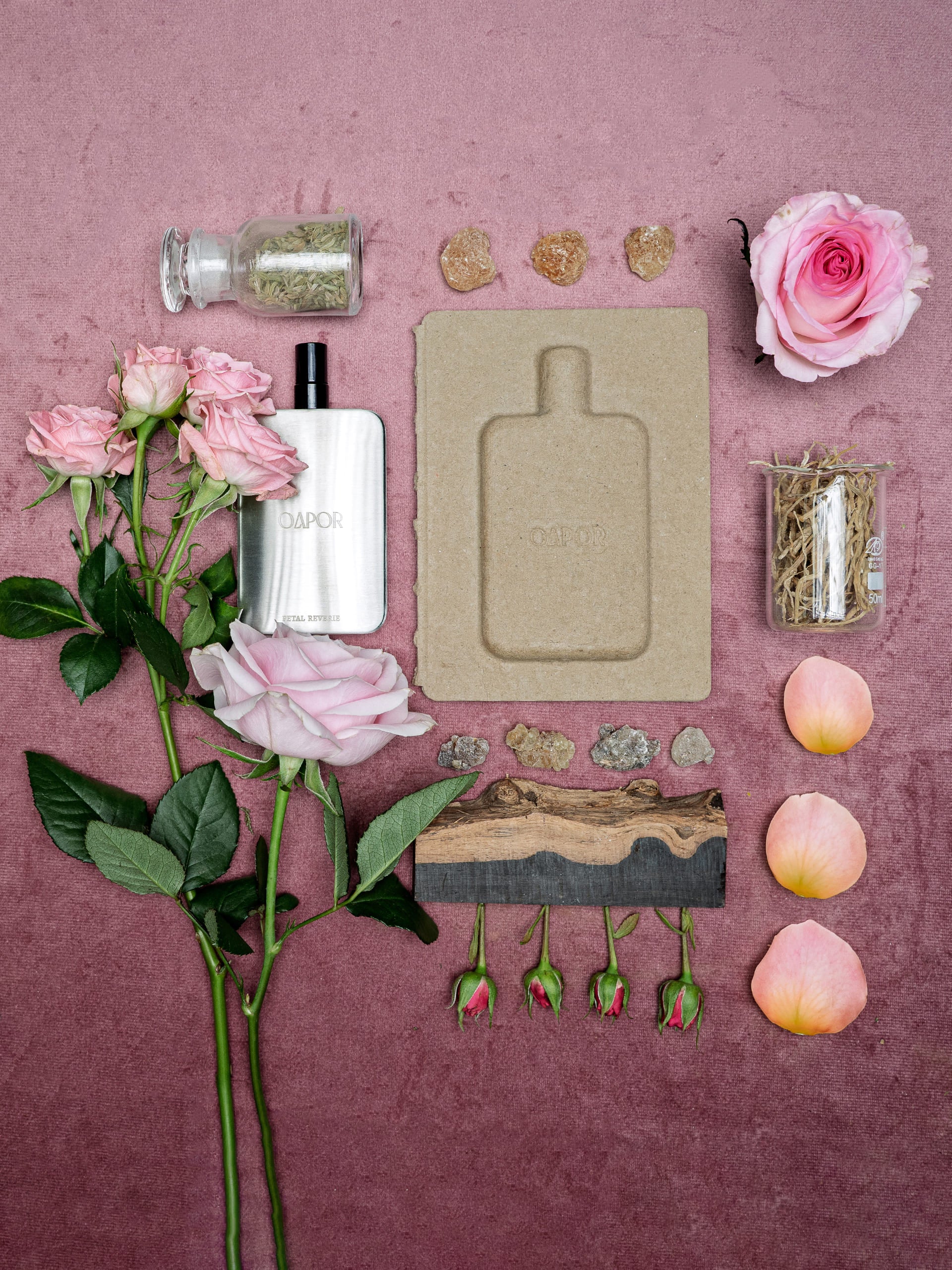 PETAL REVERIE - Featherlight Edition