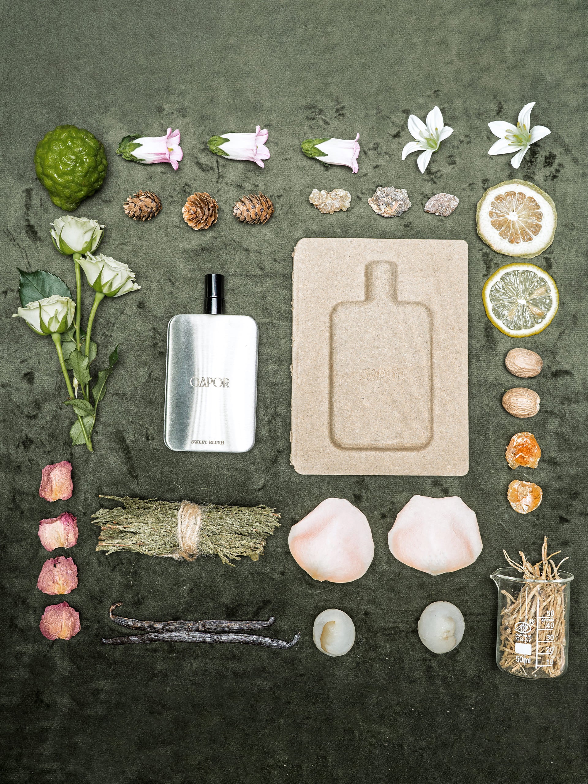 SWEET BLUSH - Featherlight Edition