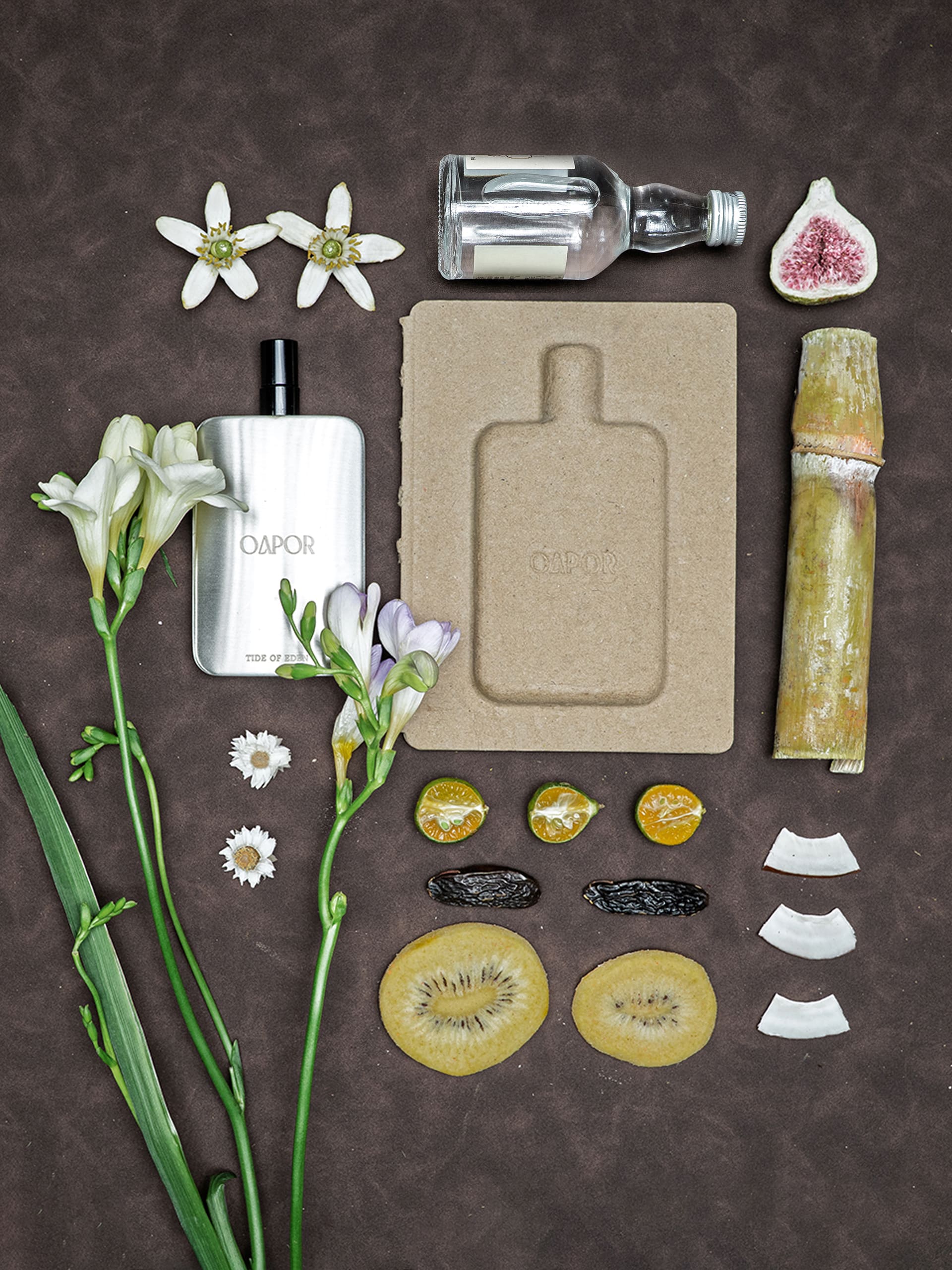 TIDE OF EDEN - Featherlight Edition